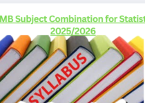 JAMB Subject Combination for Statistics 2025/2026